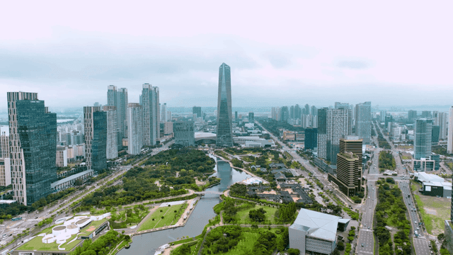 City park with high-rise buildings