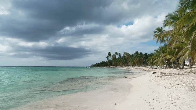 야자수와 구름이 있는 고요한 해변