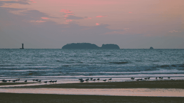 Calm beach with birds under the dark sky