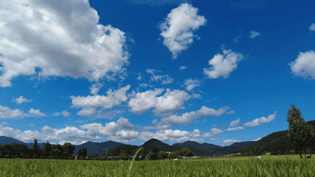 Blue fields and clear sky above mountains