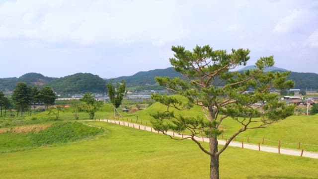 소나무와 고분이 있는 고요한 공원과 역사 유적지