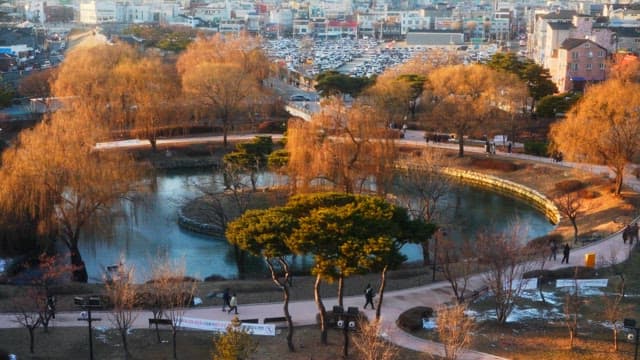 도심 속 연못이 있는 고요한 공원