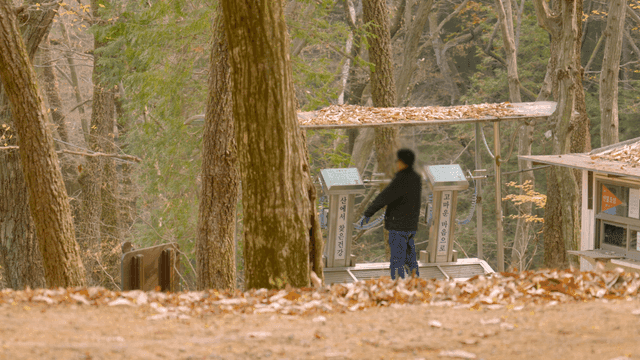 Man dusting himself off in forest