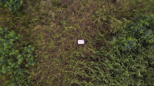 풀밭에 있는 여행 가방의 항공 뷰