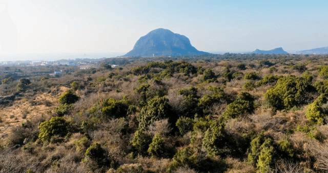 멀리 산이 보이는 광활한 풍경