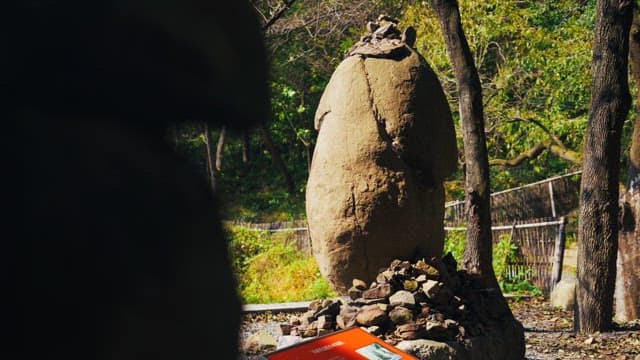 돌탑을 둘러싸고있는 무성한 나무와 녹지