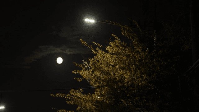 밤의 가로등과 보름달