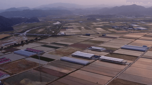 Expansive farmland at dusk with mountains