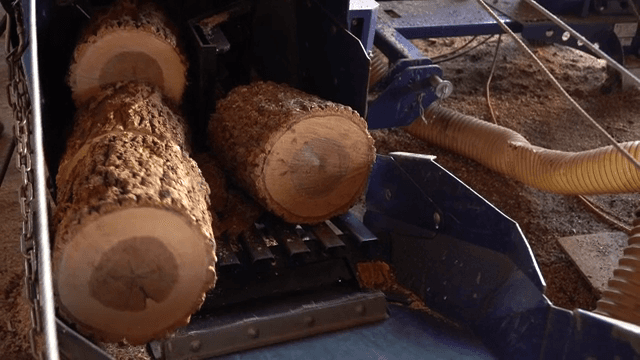 Logs being processed in a sawmill