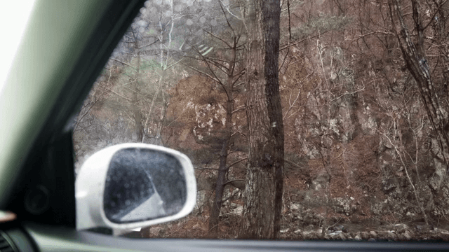 자동차 창문을 통해 본 숲