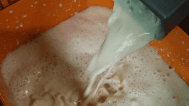 통에 부어지는 콩물