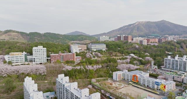 Scenic view of a campus with cherry blossoms