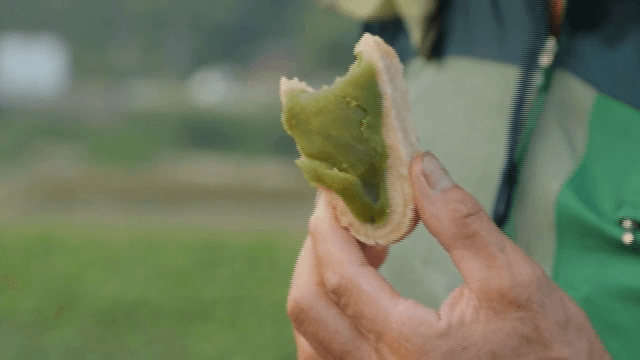 person holding a rice cake filled with pea filling