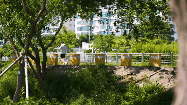 Person jogging with dog in park