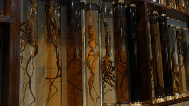 진열된 오래된 담금주들