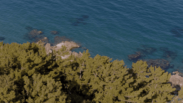 맑은 푸른 바다의 해안 풍경