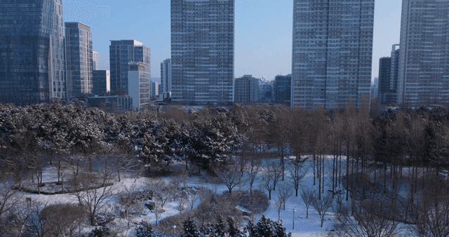 Snow-covered park with tall buildings