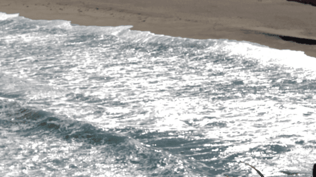 Sparkling, calm waves crashing against sandy beach