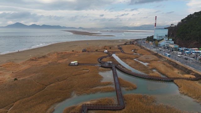 갈대와 바다가 보이는 해안 산책로