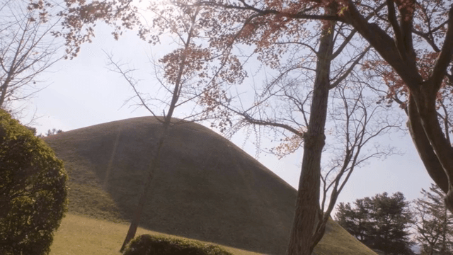 햇빛 속 나무와 거대한 고대 무덤