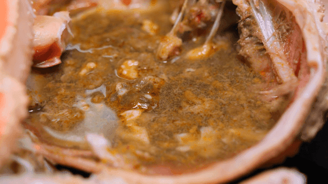 Crab innards filling crab shell