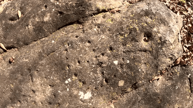 A rock surface with small holes and moss
