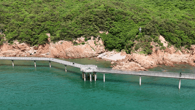Blue forest and coastal walking trail