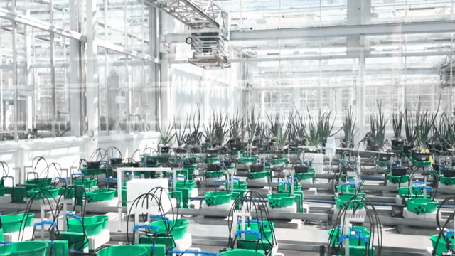 자동화 시스템이 있는 현대식 온실