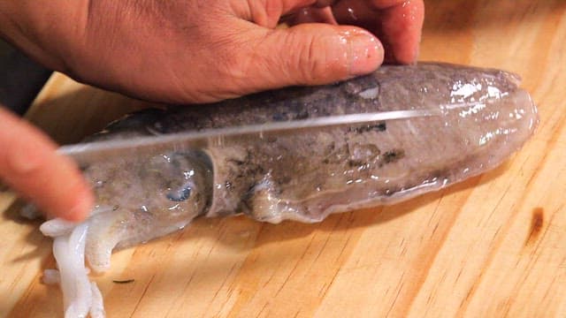 Preparing Fresh Squid for Cooking