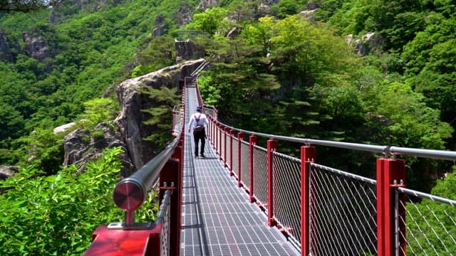 Hiker walking on a red suspension bridge in a mountain with lush green trees