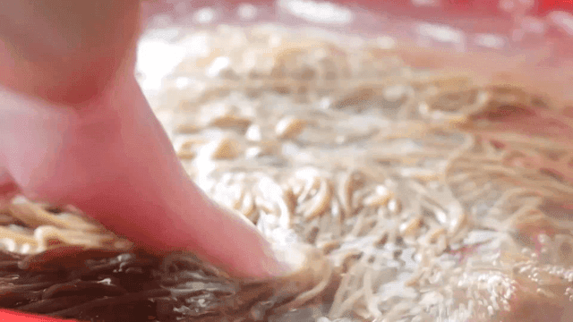 차가운 물에 면을 손으로 섞는 장면