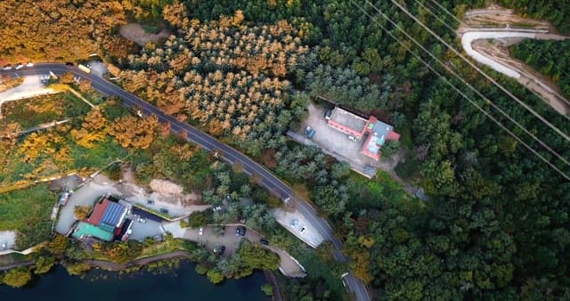 울창한 숲을 가로지르는 구불구불한 도로
