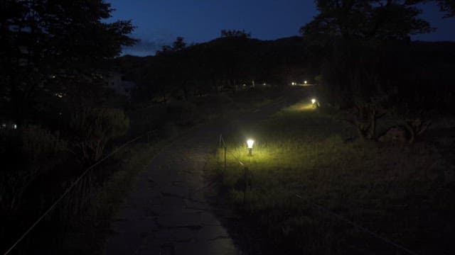 조명이 어슴프레한 밤의 고요한 공원