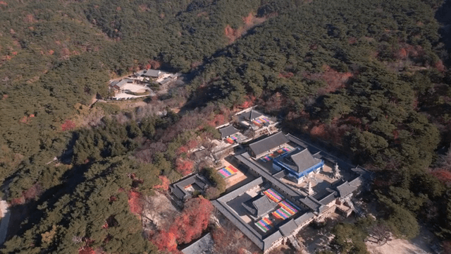 숲으로 둘러싸인 전통 한국 사찰