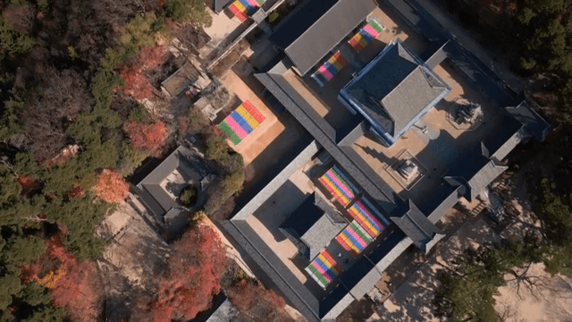 가을 단풍에 둘러싸인 전통 한국 사찰