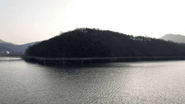 Tranquil lake with wooden walkway