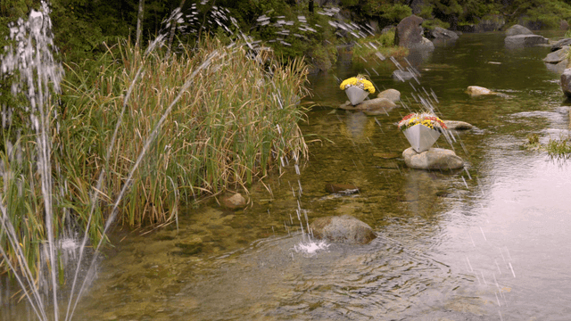 Tranquil lake with flowers and fountain on rock