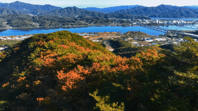 멀리 산이 보이는 가을 숲
