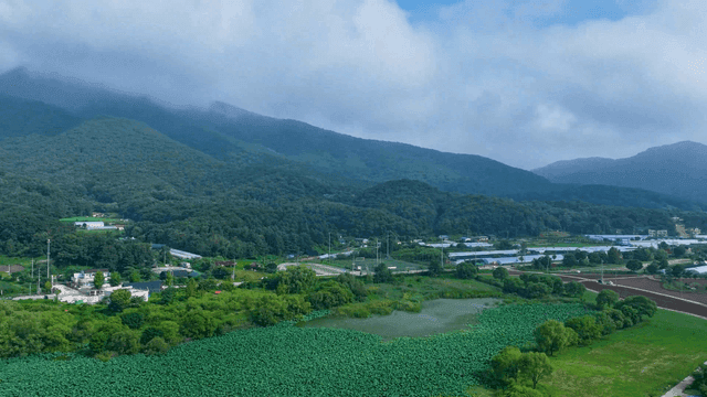 산과 농지가 보이는 경치