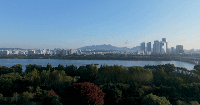 강과 나무가 있는 도시 스카이라인