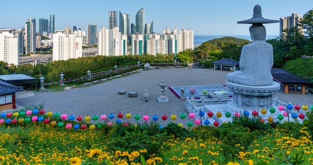 낮부터 밤까지 건물이 밀집한 도시를 바라보는 불상의 뒷모습