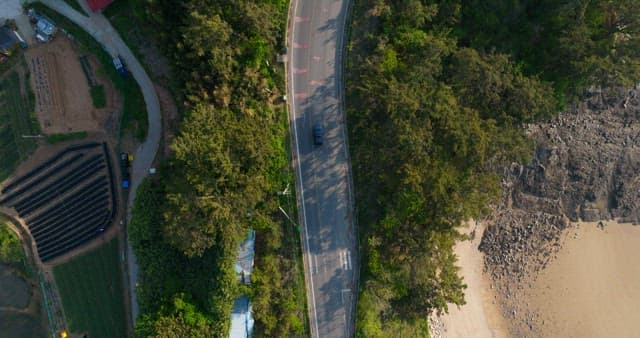 Car on a Coastal Road Next to Forest and Farmland