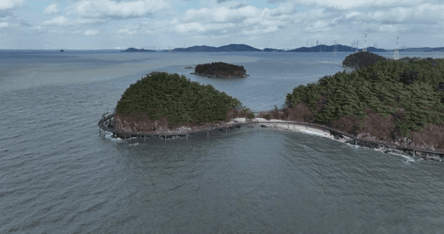 푸른 숲이 우거진 해안 섬