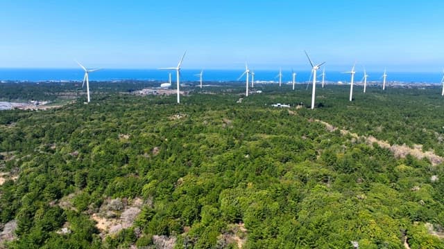 Wind turbines over a lush green forest