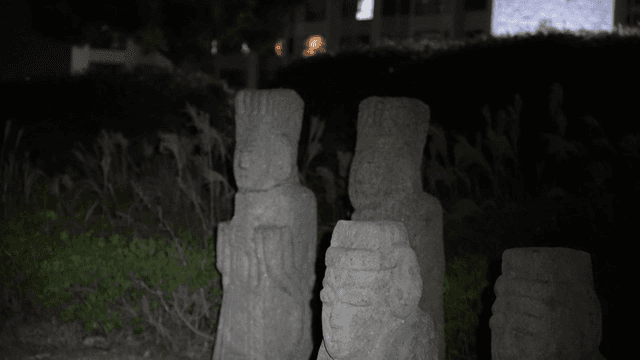 Stone statues in a garden at night