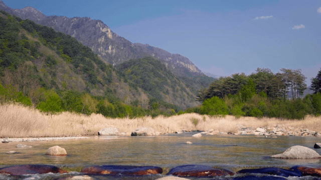 A tranquil river flowing through mountains