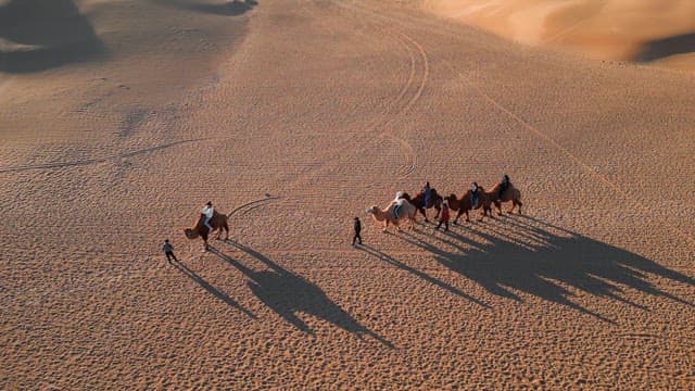 Camel procession crossing the desert