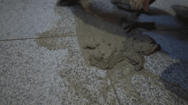 Worker applying cement to tile floor