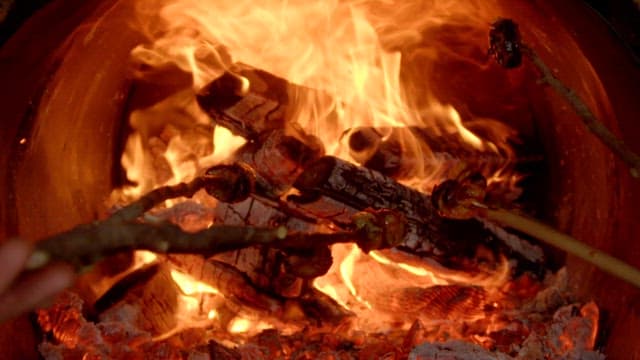 나뭇가지에 꽂아 불에 굽는 요리