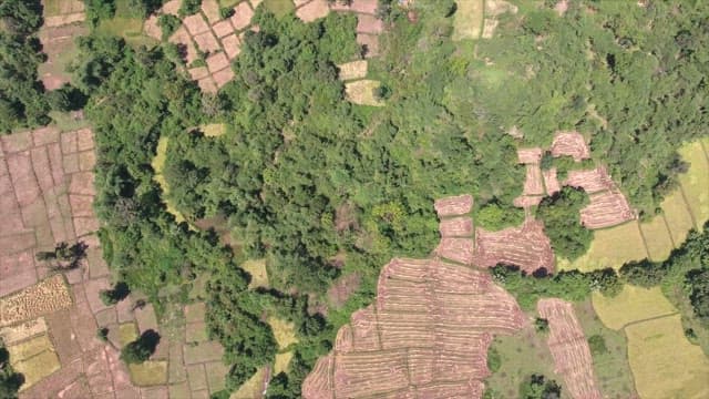 Lush green fields and farmland